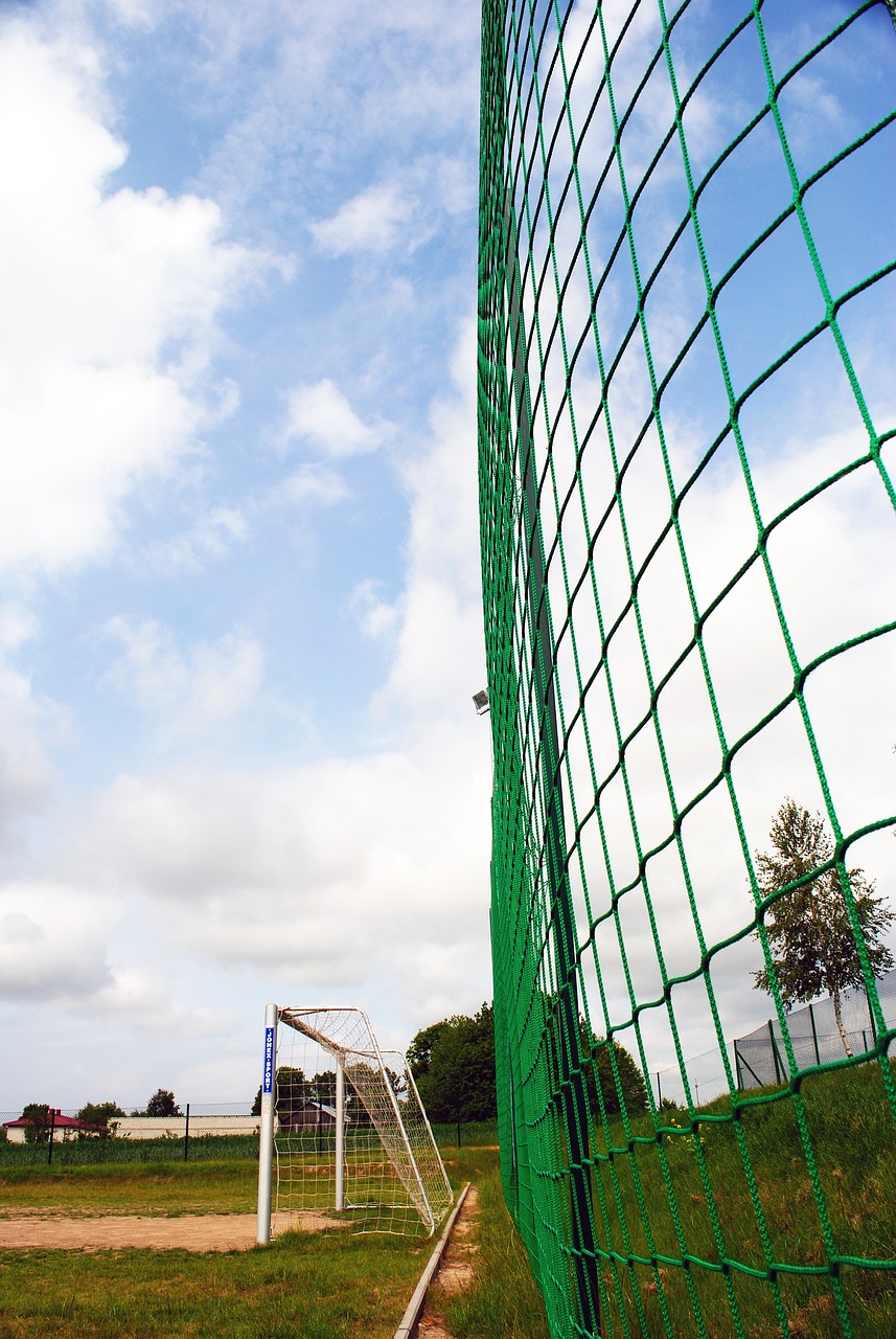 席尔瓦和菲 席尔瓦和菲