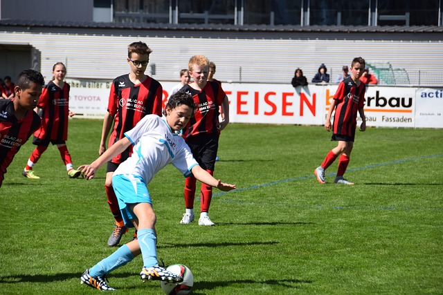 他们通过构 他们通过构