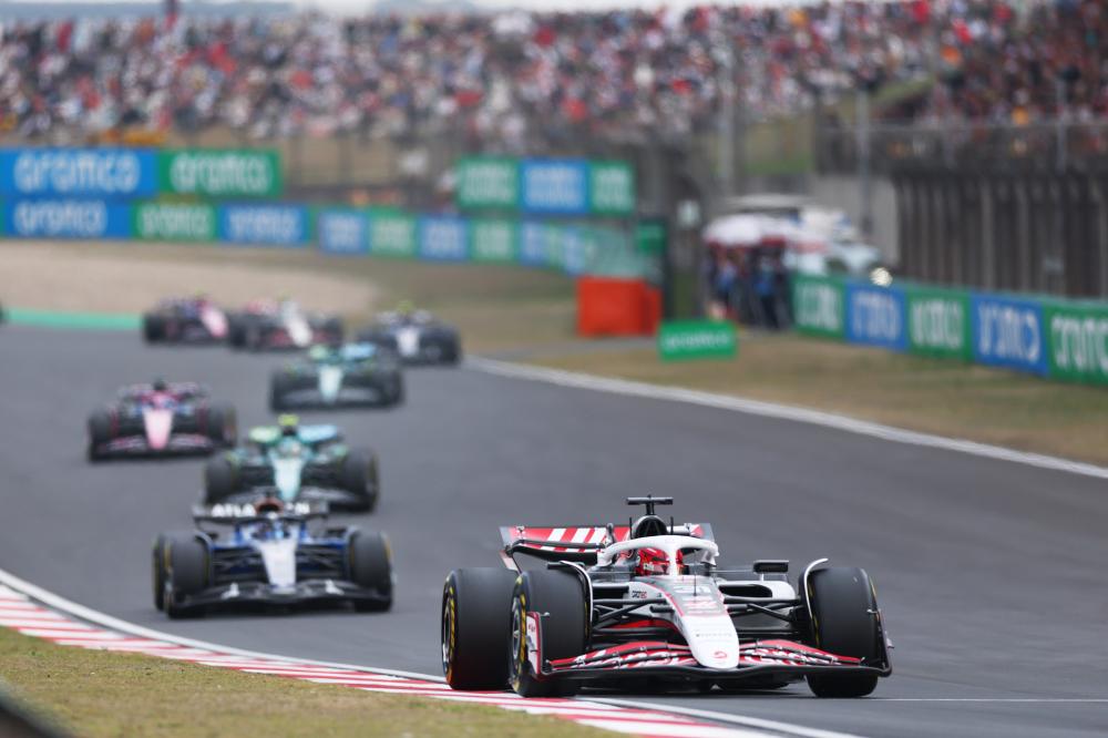 仅看点十足 仅看点十足